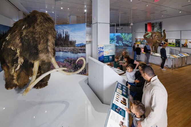 American Museum of Natural History Admission Ticket - What this AMNH admission ticket really includes