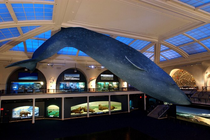 American Museum of Natural History Admission Ticket - What’s not included: ticketed extras you might want