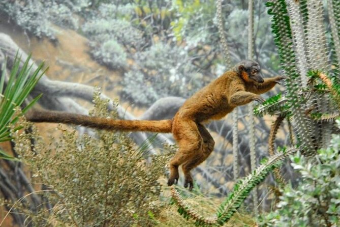 Bronx Zoo Admission Ticket - Key highlights worth planning around