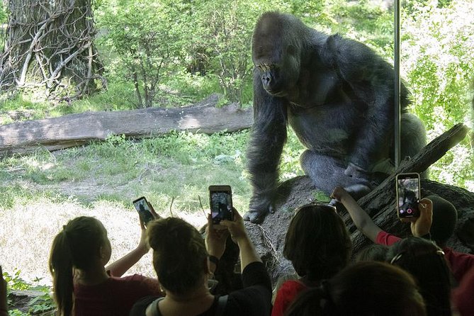 Bronx Zoo Admission Ticket - Monorail + shuffle strategy: the fastest way to cover the big hits
