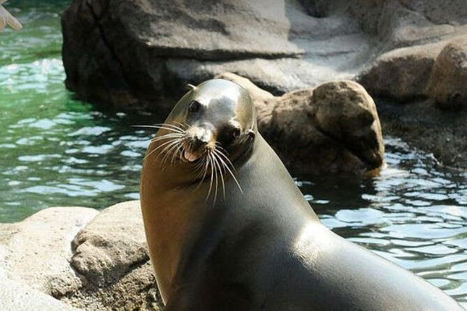 Bronx Zoo Admission Ticket - Dinosaur Safari and Children’s Zoo: ending strong with kid-focused favorites