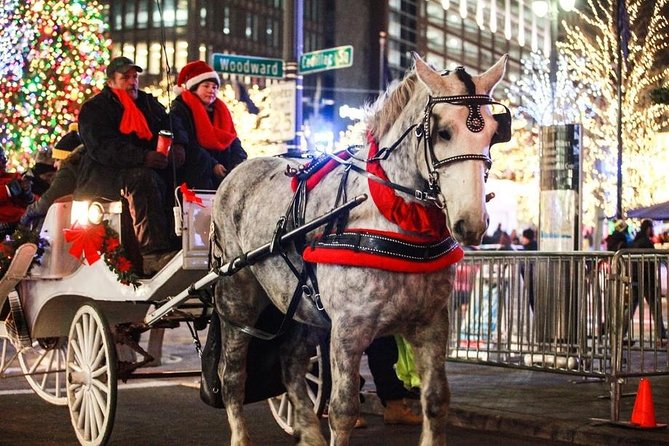 Carriage Ride in Central Park (VIP - PRIVATE) Since 1964™ - Why Central Park is better when you slow it down from the curb