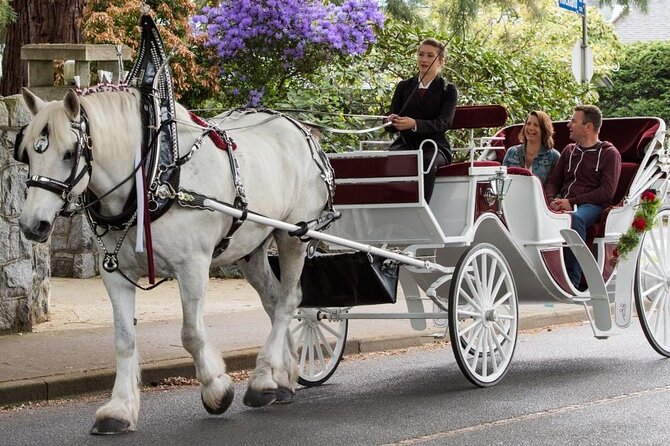 Carriage Ride in Central Park (VIP - PRIVATE) Since 1964™ - The south-to-north Central Park loop: Wollman Rink to Bethesda Fountain