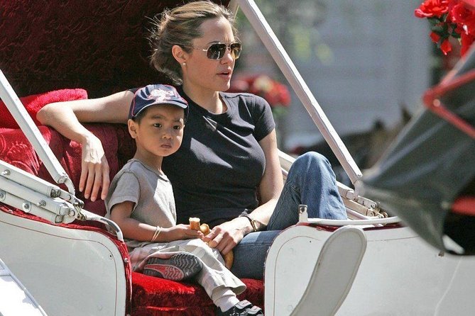 Carriage Ride in Central Park (VIP - PRIVATE) Since 1964™ - Bandshell, the lake, Cherry Hill, and Bow Bridge photo moments