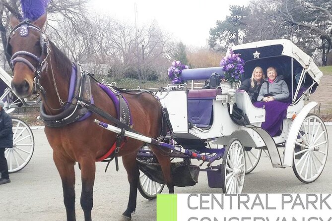 Carriage Ride in Central Park (VIP - PRIVATE) Since 1964™ - How the guide and horse interaction shape your photo results