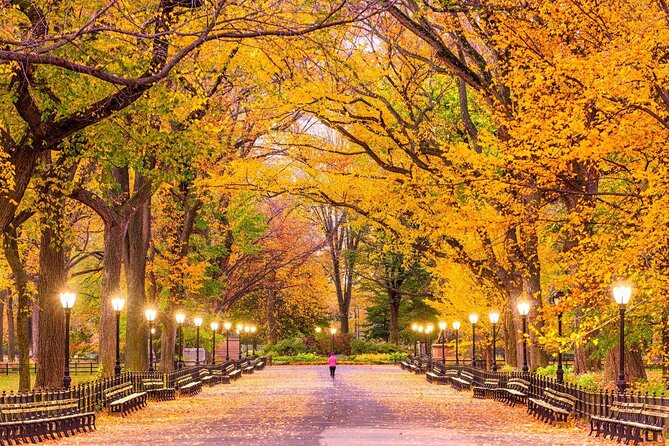 Central Park Bike Rental: Quality Bikes with Map, Helmet, Lock - Key things to know before you pedal