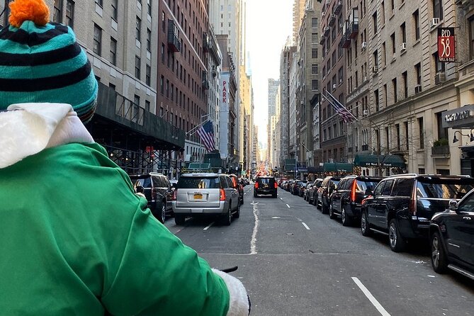 Central Park Guided Pedicab Tours - Cherry Hill to Bow Bridge: the photo-friendly triangle of wow