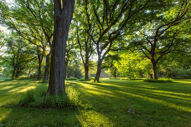 Central Park Guided Walking Tour - Who should book this Central Park guided walking tour