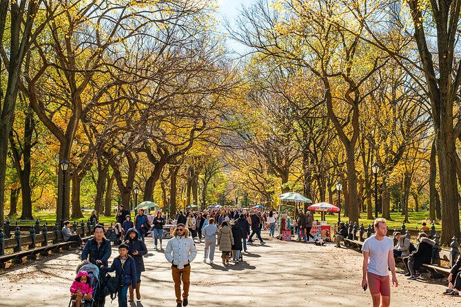 Central Park Private Pedicab Tour (60 mins) - Carousel, Chess & Checkers, and the Dairy: the park’s playful side