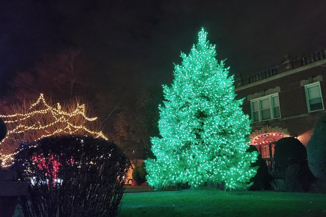Dyker Heights Christmas Lights Guided Tour - Price and Value: Why $63 Can Make Sense (Even If You Go in Skeptical)
