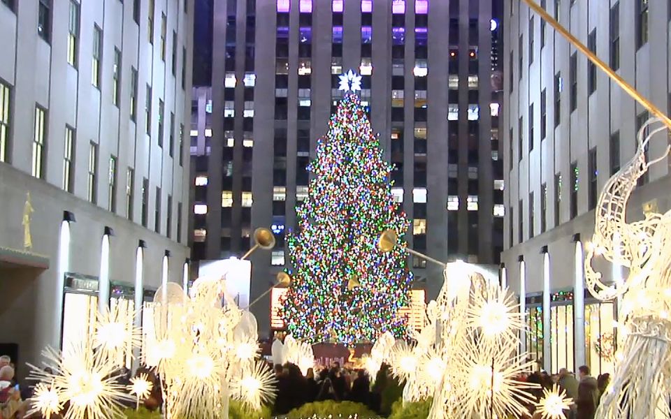 From Manhattan: Dyker Heights Lights & Skyline Tour - Dyker Heights Guided Walk: Seeing the Lights Up Close