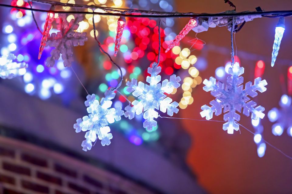 From Manhattan: Dyker Heights Lights & Skyline Tour - What to Bring (and What to Wear) for a Smooth Holiday Night