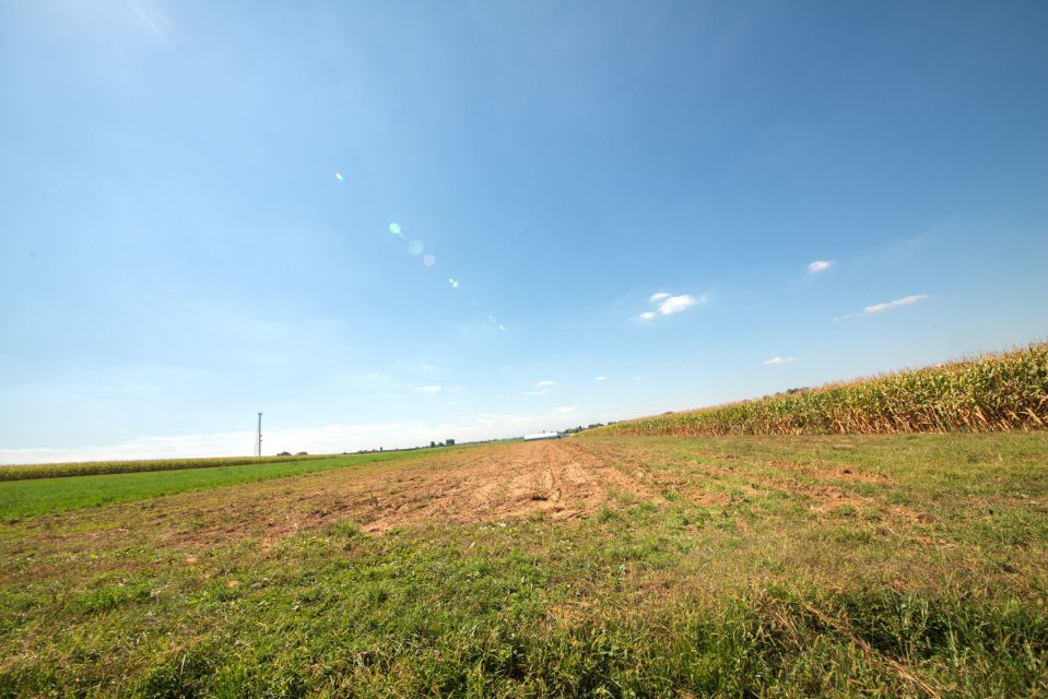 From NYC: Day Trip to Philadelphia and Amish Country - Value for $149: What You Get (and What You Pay Extra)