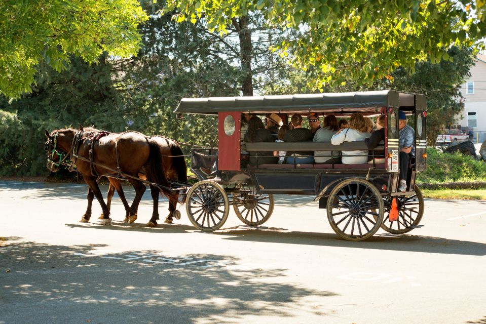 From NYC: Day Trip to Philadelphia and Amish Country - The Rocky Steps Moment: Where You Can Do the Thing