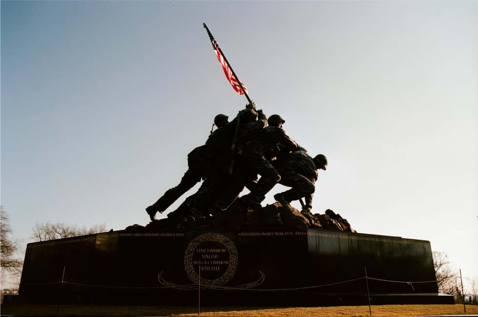 From NYC: Washington Highlights Guided One Day Tour - Museums zone free time: how to make your lunch and museum pick work