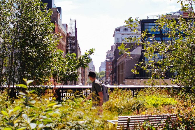 High Line and Chelsea Small Group Tour - Quick Hits: What Makes This Tour Worth Your Morning