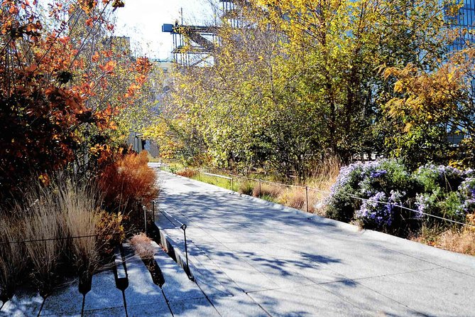 High Line and Chelsea Small Group Tour - The High Line Walk: Rails, Reuse, and the Best Views You Don’t Need to Search For