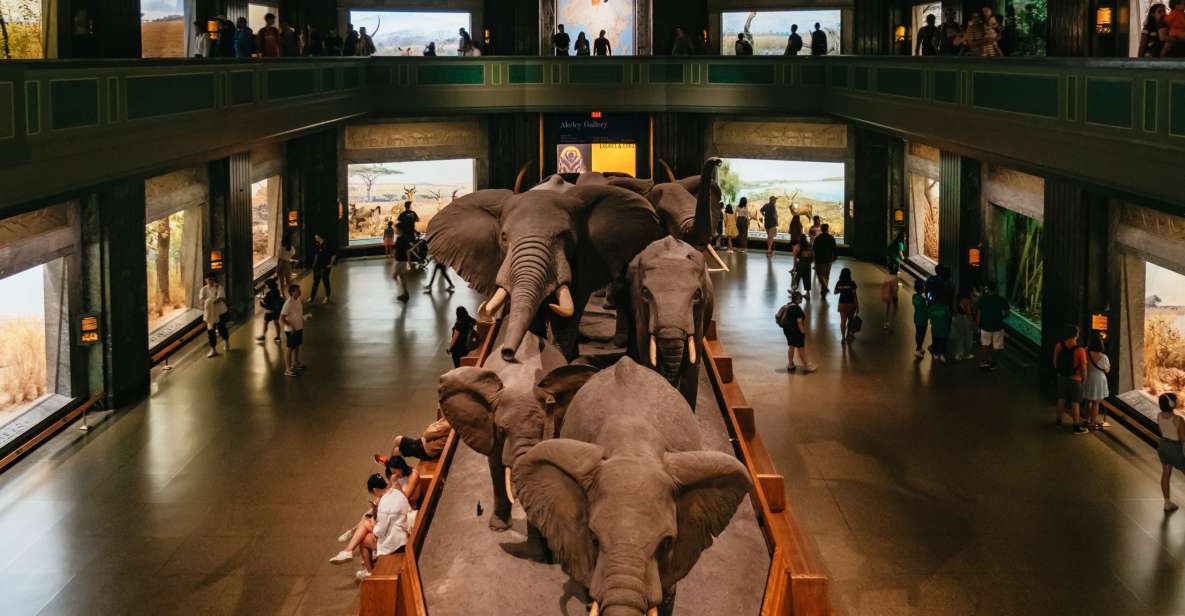 New York City: American Museum of Natural History Ticket - Key highlights to look forward to