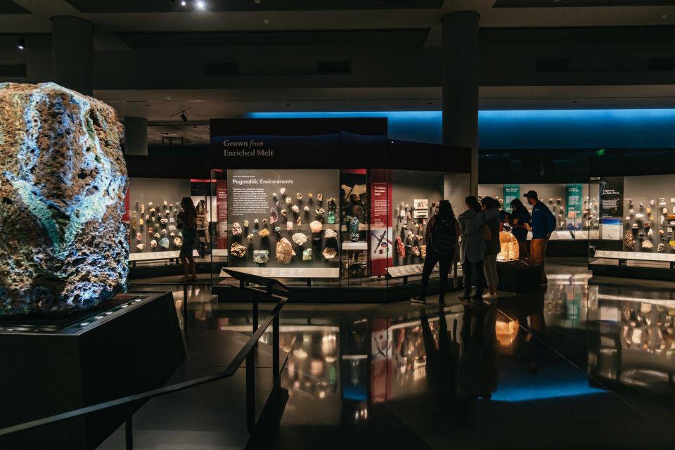 New York City: American Museum of Natural History Ticket - Comfort and logistics inside the museum (small things that matter)