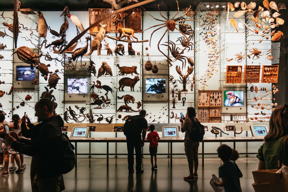 New York City: American Museum of Natural History Ticket - American Museum of Natural History in One Day: what your ticket really buys