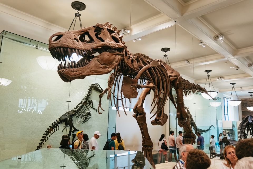 New York City: American Museum of Natural History Ticket - Richard Gilder Center: where the museum feels modern
