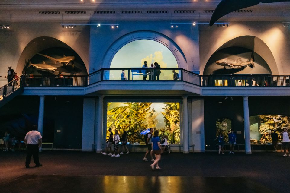 New York City: American Museum of Natural History Ticket - Dinosaurs, diamonds, and the iconic photo moments you shouldn’t skip