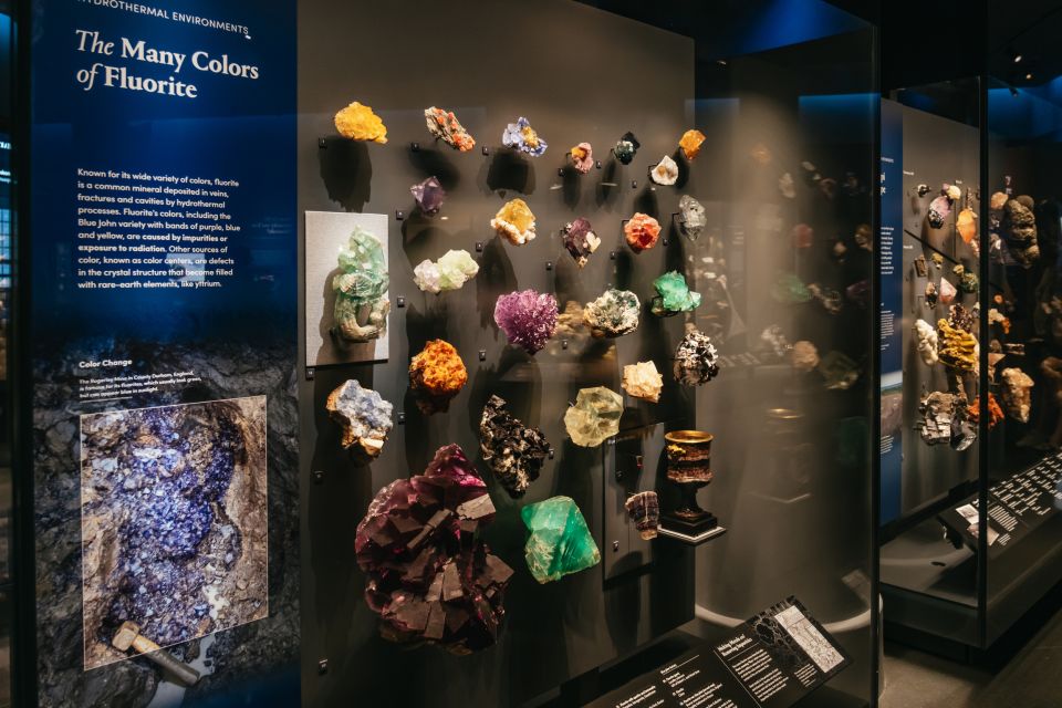 New York City: American Museum of Natural History Ticket - Rose Center for Space and Earth: a good match for both kids and adults