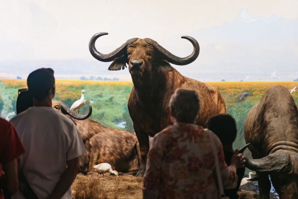New York City: American Museum of Natural History Ticket - Ticketed exhibitions: choose the right 1 (or go for all)