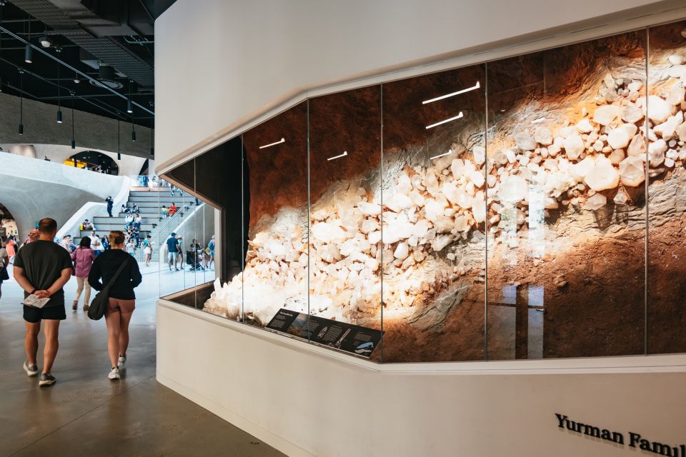 New York City: American Museum of Natural History Ticket - The Explorer App and WiFi: how to keep your day from unraveling