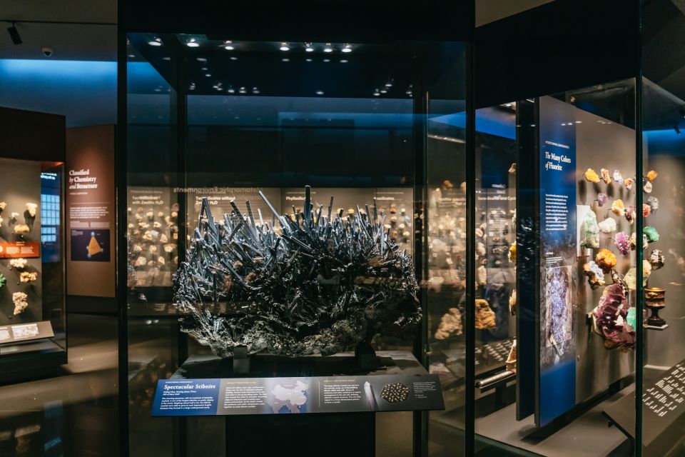 New York City: American Museum of Natural History Ticket - Planning your walk: pacing 40+ halls without burning out