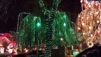 New York City: Dyker Heights Christmas Lights Tour - Getting started in Midtown: Times Square pickup and the quick plan