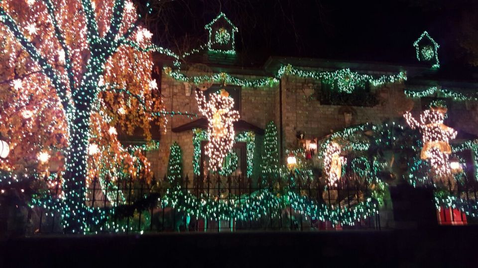 New York City: Dyker Heights Christmas Lights Tour - Bay Ridge photo stop: a quick breather with useful skyline angles