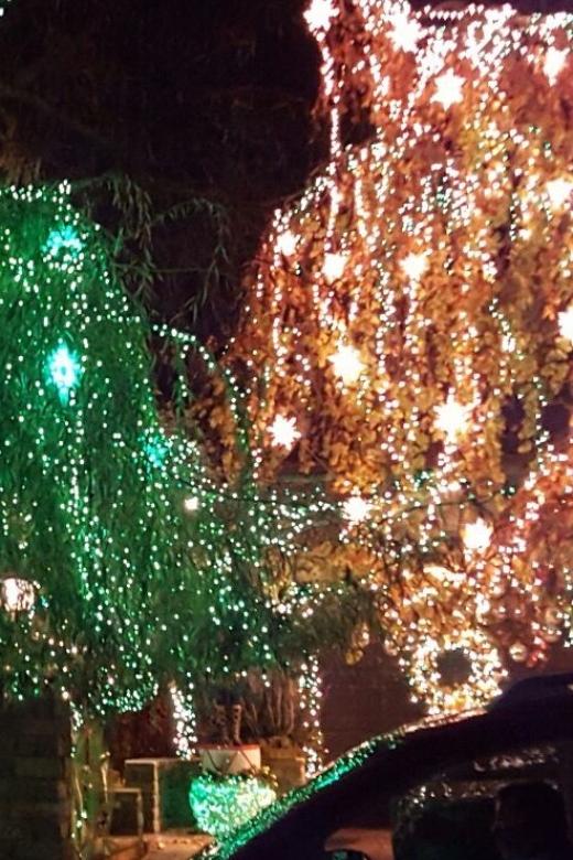 New York City: Dyker Heights Christmas Lights Tour - What the guide and driver really change about the experience