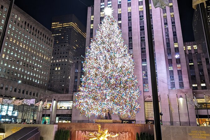 New York City Holiday Lights Tour - Key Things That Make This Tour Work