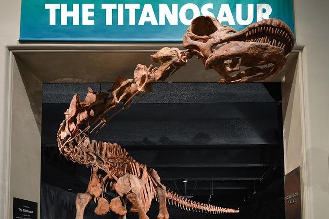 New York CityPASS® - American Museum of Natural History: 40+ galleries plus one ticketed choice