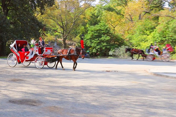 NYC Central Park Horse Carriage Ride (Up to 4 Adults) - Guides, pace, and the difference between a good ride and a great one