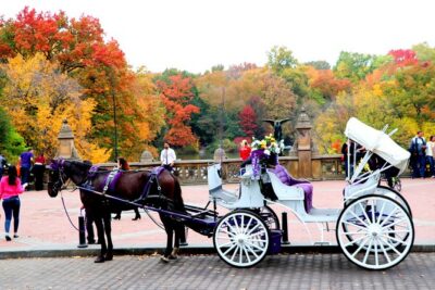 NYC Central Park Horse Carriage Ride (Up to 4 Adults) - Meeting at the José Julián Martí Statue: the start point that sets the tone