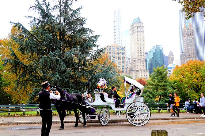 NYC Central Park Horse Carriage Ride (Up to 4 Adults) - Price and value: is $225 per carriage worth it?