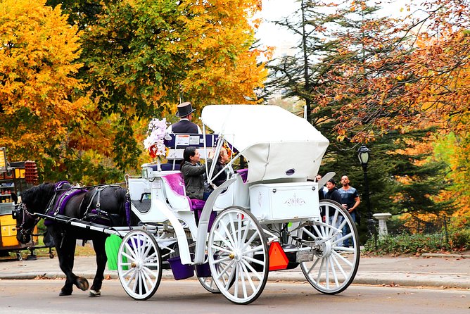 NYC Central Park Horse Carriage Ride (Up to 4 Adults) - Comfort upgrades that actually help: roof, blankets, and photo time