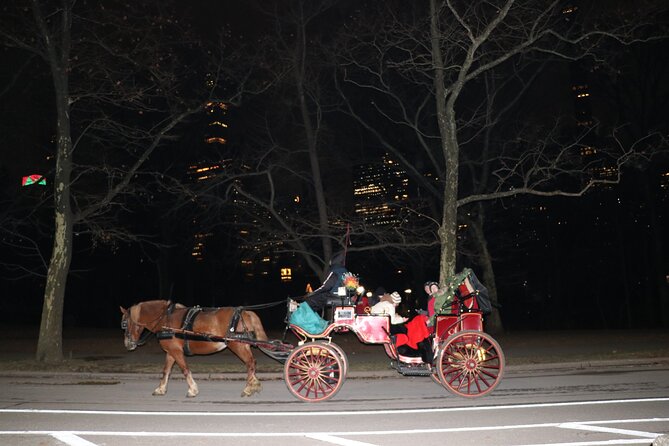 NYC Central Park Horse Carriage Ride (Up to 4 Adults) - Who this ride suits best (and who might want a different plan)