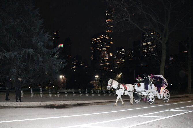 NYC Central Park Horse Carriage Ride (Up to 4 Adults) - Weather, timing, and how to reduce stress on ride day