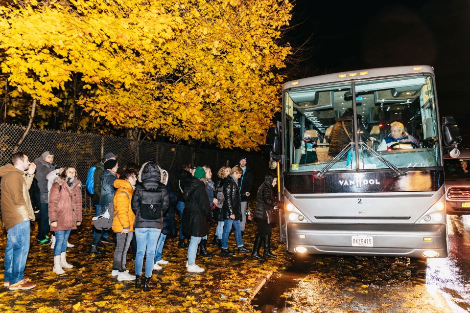 NYC: Dyker Heights Christmas Lights & Skyline View Bus Tour - Price and value: why $69 can make sense for the right trip