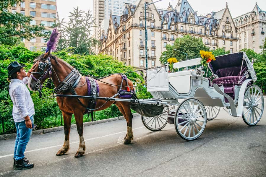 NYC: Guided Central Park Horse Carriage Ride - Key highlights worth planning for