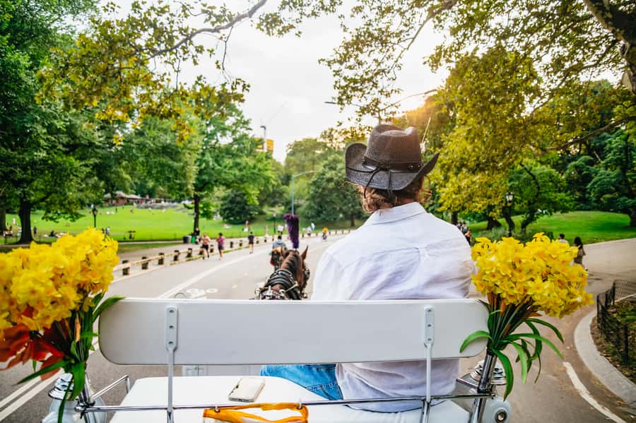 NYC: Guided Central Park Horse Carriage Ride - How this private Central Park carriage ride fits into a real day