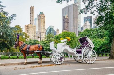 NYC: Guided Central Park Horse Carriage Ride - The 40–55 minute route: what you’ll likely see (and what you won’t)