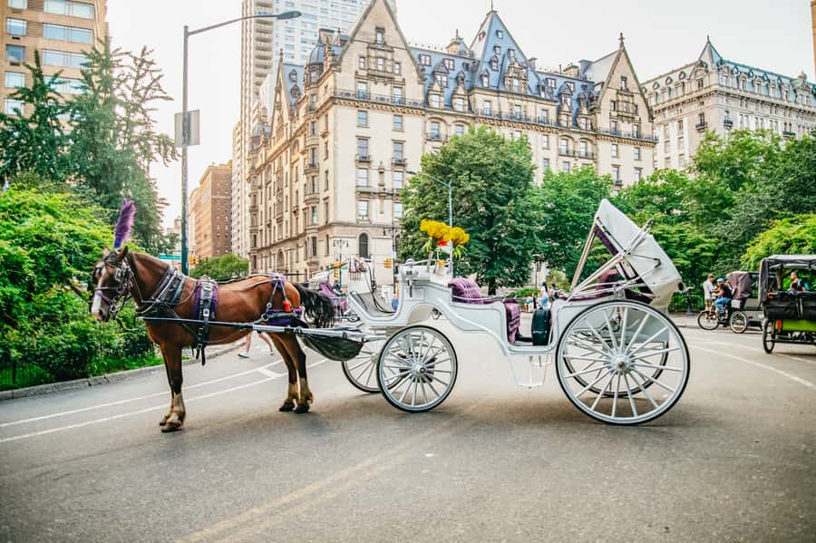 NYC: Guided Central Park Horse Carriage Ride - Literary Mall to the Lake: seeing Central Park like a “best-of” walking route