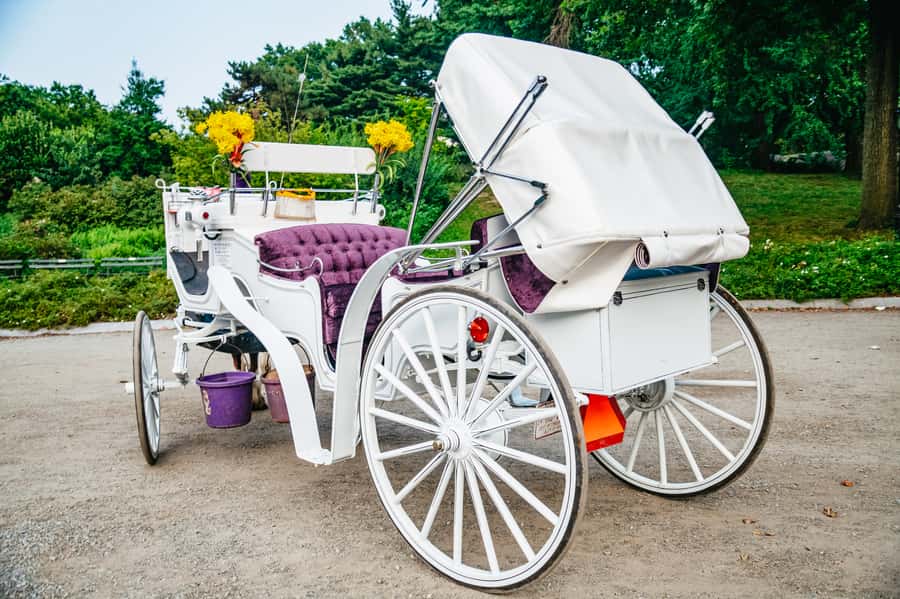 NYC: Guided Central Park Horse Carriage Ride - Wollman Rink, Carousel, Chess & Checker House, and The Dairy: the playful side