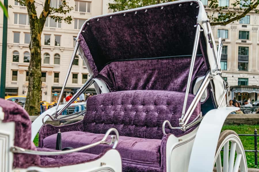 NYC: Guided Central Park Horse Carriage Ride - Price: what $155 per group really buys you