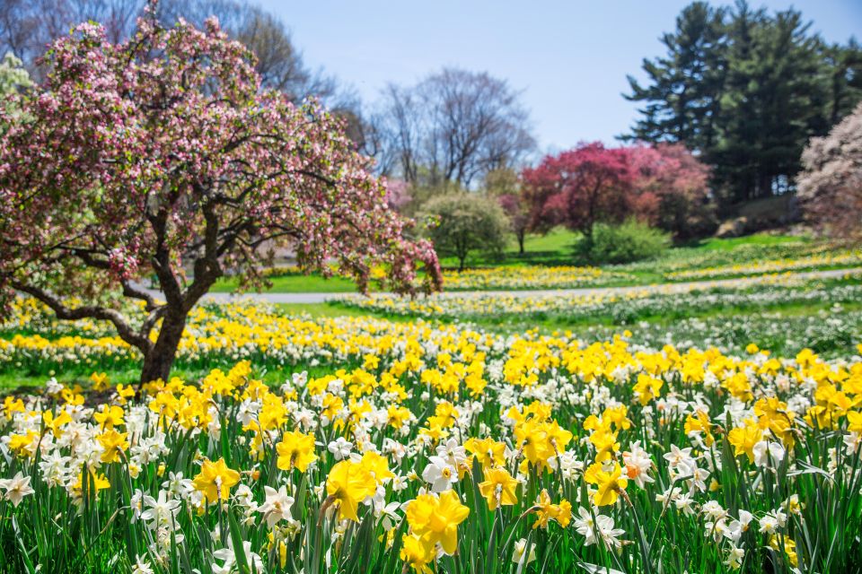 NYC: New York Botanical Garden Pass with Orchid Show Option - Food, cafés, and the cost reality in the Bronx