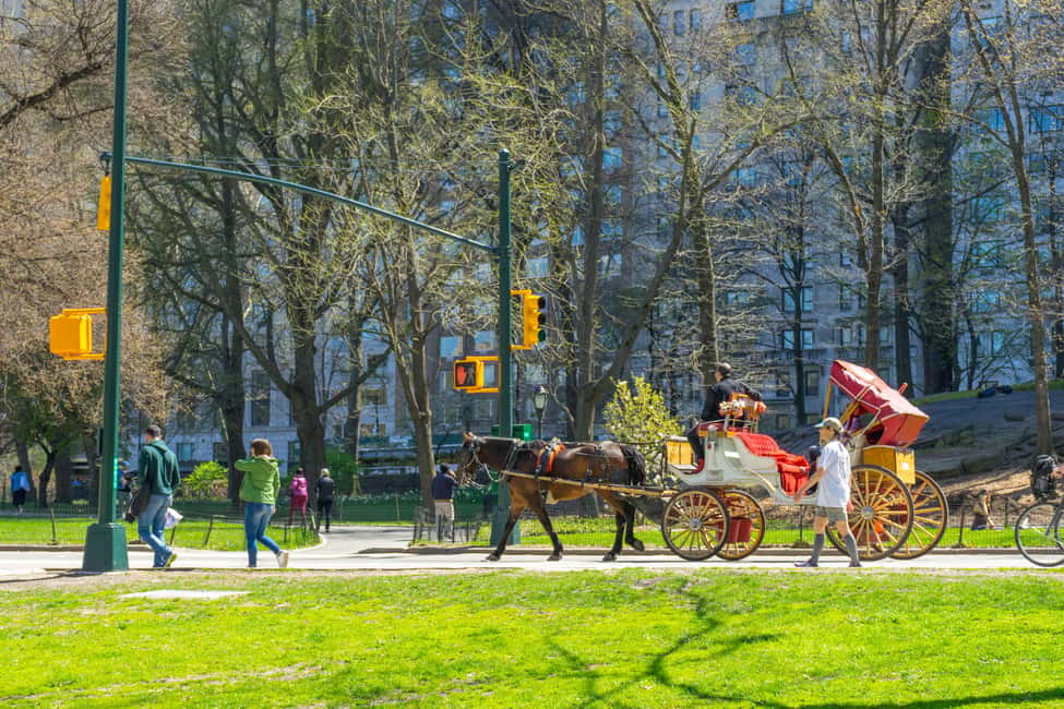 NYC: Private Central Park Horse Carriage Ride with Guide - Key things I’d zero in on before you go